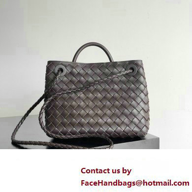 Bottega Veneta Intrecciato leather Small Andiamo top handle Bag Coffee