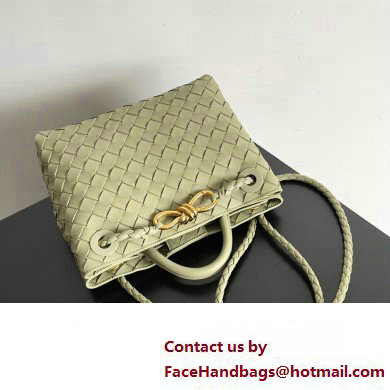 Bottega Veneta Intrecciato leather Small Andiamo top handle Bag Light Green