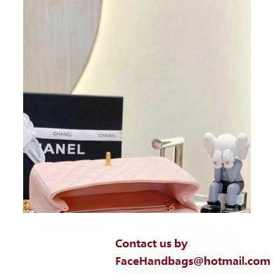 CHANEL SHEEPSKIN MEDIUM CLASSIC FLAP BAG WITH A CAMELLIA AS4046 PINK 2023