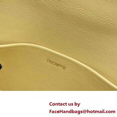 Celine Mini besace triomphe Bag in SHINY CALFSKIN Yellow