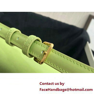 Celine SHOULDER BAG triomphe in Shiny calfskin 194143 Light Green