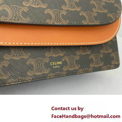 Celine Wallet on strap in Triomphe Canvas and Smooth Lambskin Tan