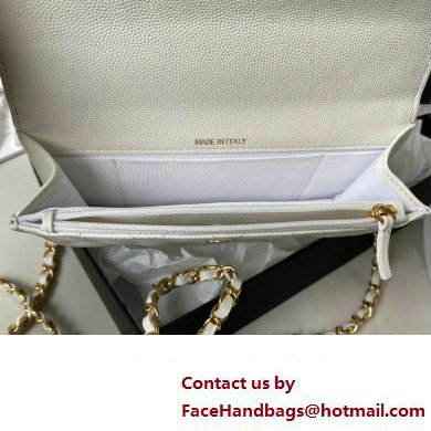 Chanel Grained Calfskin Wallet On Chain WOC Bag AP3021 White 2023