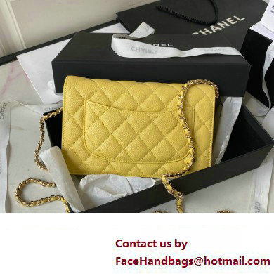 Chanel Grained Calfskin Wallet On Chain WOC Bag AP3336 Yellow 2023