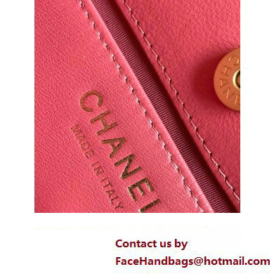 Chanel Hobo Handbag in VELVET AS4322 PINK 2023