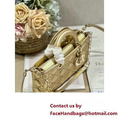 Dior Medium Lady D-Joy Bag in Iridescent and Cannage Lambskin Gold