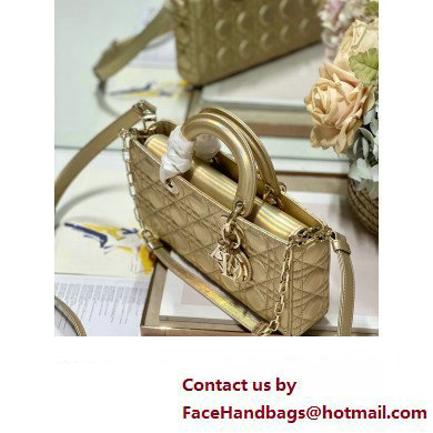 Dior Medium Lady D-Joy Bag in Iridescent and Cannage Lambskin Gold