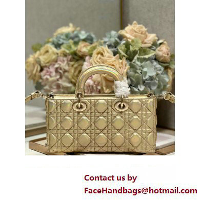 Dior Medium Lady D-Joy Bag in Iridescent and Cannage Lambskin Gold