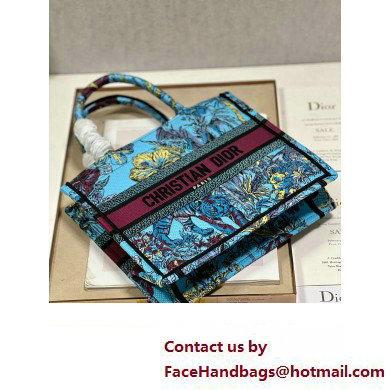 Dior Small Book Tote Bag in Multicolor Toile de Jouy Voyage Embroidery Blue