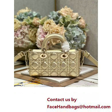 Dior Small Lady D-Joy Bag in Iridescent and Cannage Lambskin Gold