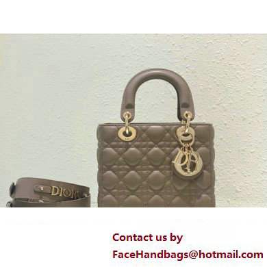 Dior Small Lady Dior My ABCDior Bag in gray Cannage Lambskin 2023