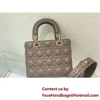 Dior Small Lady Dior My ABCDior Bag in gray Cannage Lambskin 2023