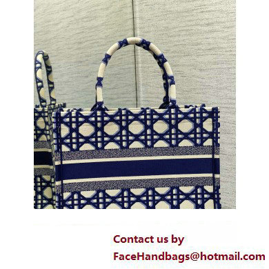 Dior medium Book Tote Bag in Beige and Blue Macrocannage Embroidery 2023