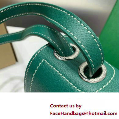 Goyard 233 bag Green