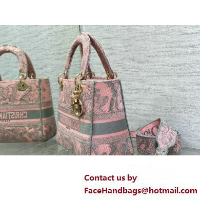 Lady Dior Medium D-Lite Bag in Pink and Gray Toile de Jouy Sauvage Embroidery