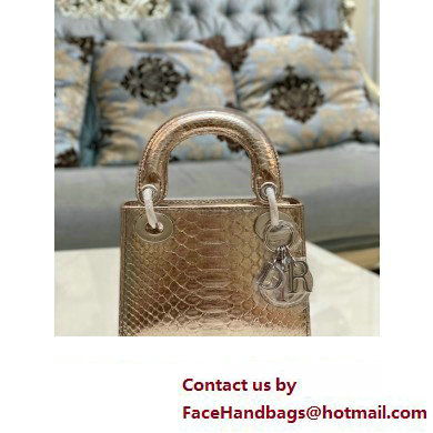 Lady Dior Python leather Mini Bag 07 2023