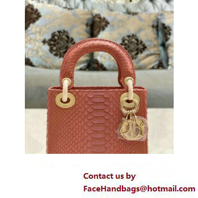 Lady Dior Python leather Mini Bag 08 2023