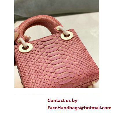 Lady Dior Python leather Mini Bag 08 2023