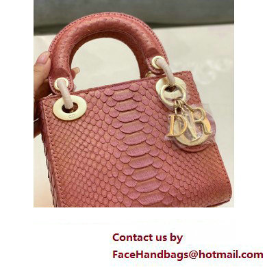 Lady Dior Python leather Mini Bag 08 2023