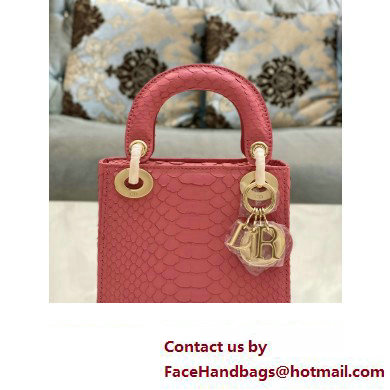 Lady Dior Python leather Mini Bag 10 2023