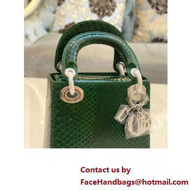 Lady Dior Python leather Mini Bag 12 2023