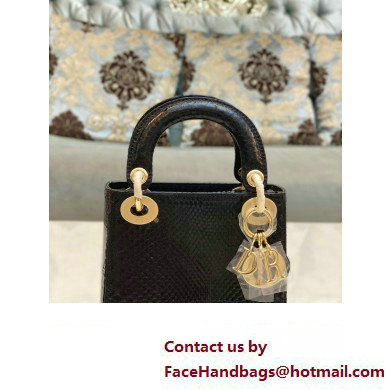 Lady Dior Python leather Mini Bag 14 2023