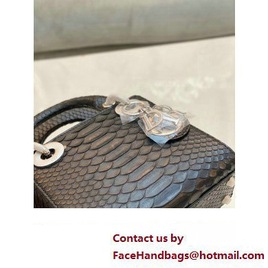 Lady Dior Python leather Mini Bag 15 2023