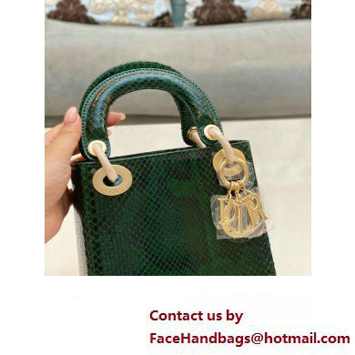 Lady Dior Python leather Mini Bag 16 2023