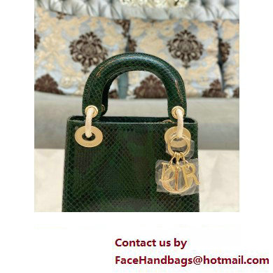 Lady Dior Python leather Mini Bag 16 2023