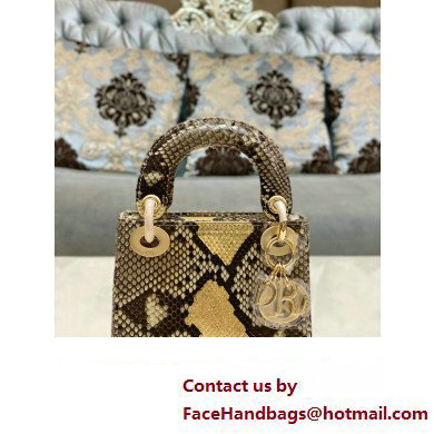 Lady Dior Python leather Mini Bag 17 2023 - Click Image to Close