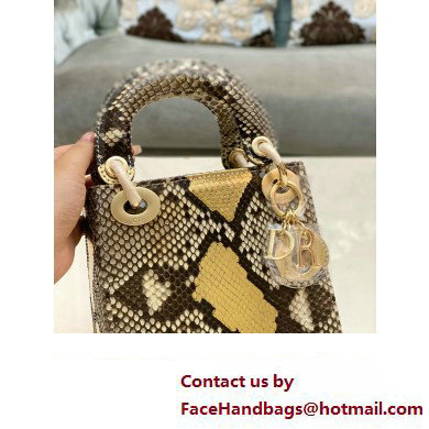 Lady Dior Python leather Mini Bag 17 2023