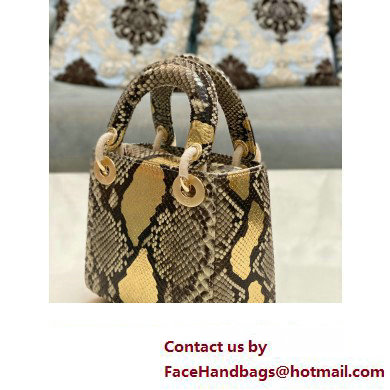 Lady Dior Python leather Mini Bag 17 2023