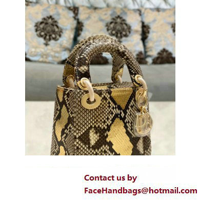 Lady Dior Python leather Mini Bag 17 2023