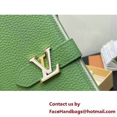 Louis Vuitton LV Vertical Wallet M82512 Vert Noto Green 2023