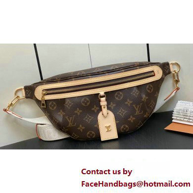 Louis Vuitton Monogram Canvas High Rise bumbag Bag M46784 2023