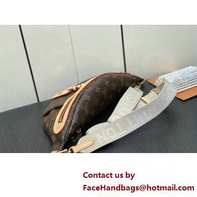 Louis Vuitton Monogram Canvas High Rise bumbag Bag M46784 2023