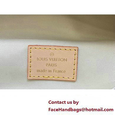 Louis Vuitton Monogram Canvas High Rise bumbag Bag M46784 2023