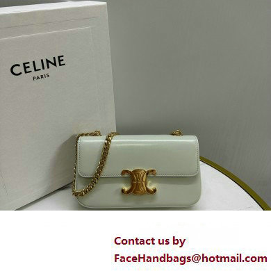 celine Shoulder Bag Triomphe in shiny calfskin jade 2023