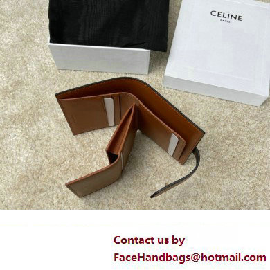 celine Small Strap Wallet in Triomphe Canvas and lambskin Tan 2022