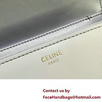 celine Teen Triomphe Bag in SHINY CALFSKIN Light Lavender 2023