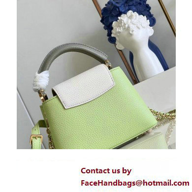 louis vuitton Capucines Mini handbag GREEN/WHITE M22916 2023