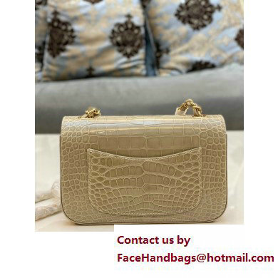 Chanel Classic Flap Small Bag 1116 In Alligator 05 2023