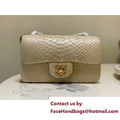 Chanel Classic Flap Small Bag 1116 In Python 10 2023