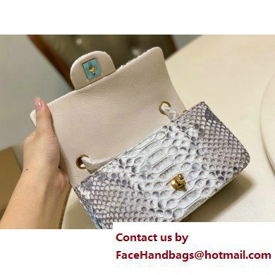 Chanel Classic Flap Small Bag 1116 In Python 12 2023