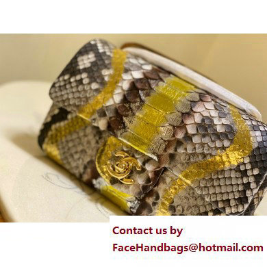 Chanel Classic Flap Small Bag 1116 In Python 18 2023