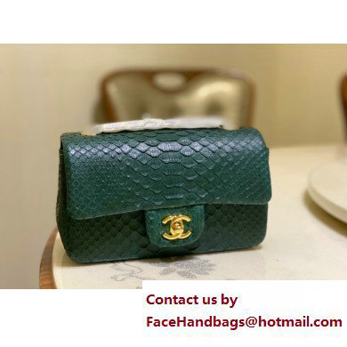 Chanel Classic Flap Small Bag 1116 In Python 19 2023