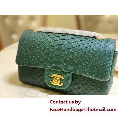 Chanel Classic Flap Small Bag 1116 In Python 19 2023