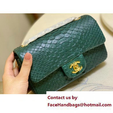 Chanel Classic Flap Small Bag 1116 In Python 19 2023