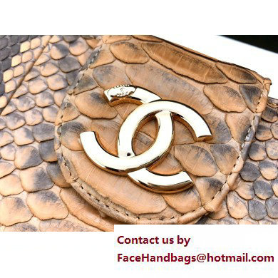 Chanel Pouch Clutch Bag In Python 02 2023