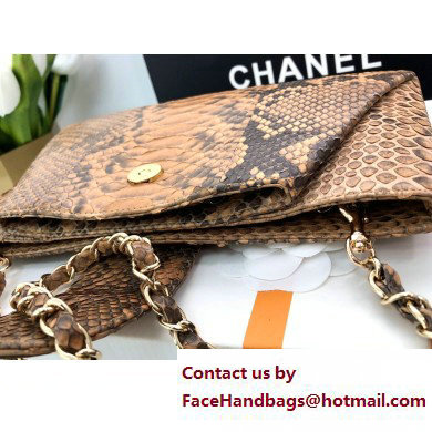 Chanel Pouch Clutch Bag In Python 02 2023